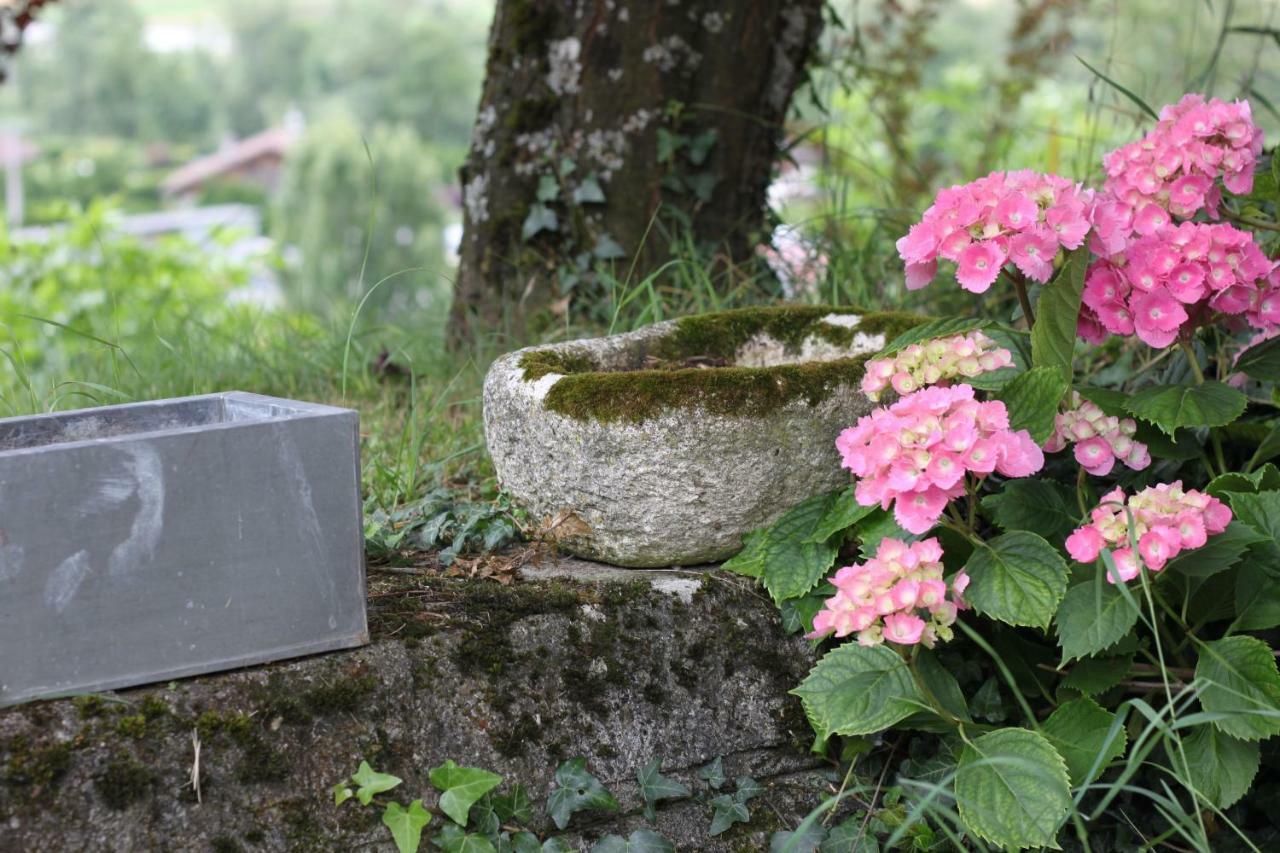 Les Hauts De Savoie パッシー エクステリア 写真